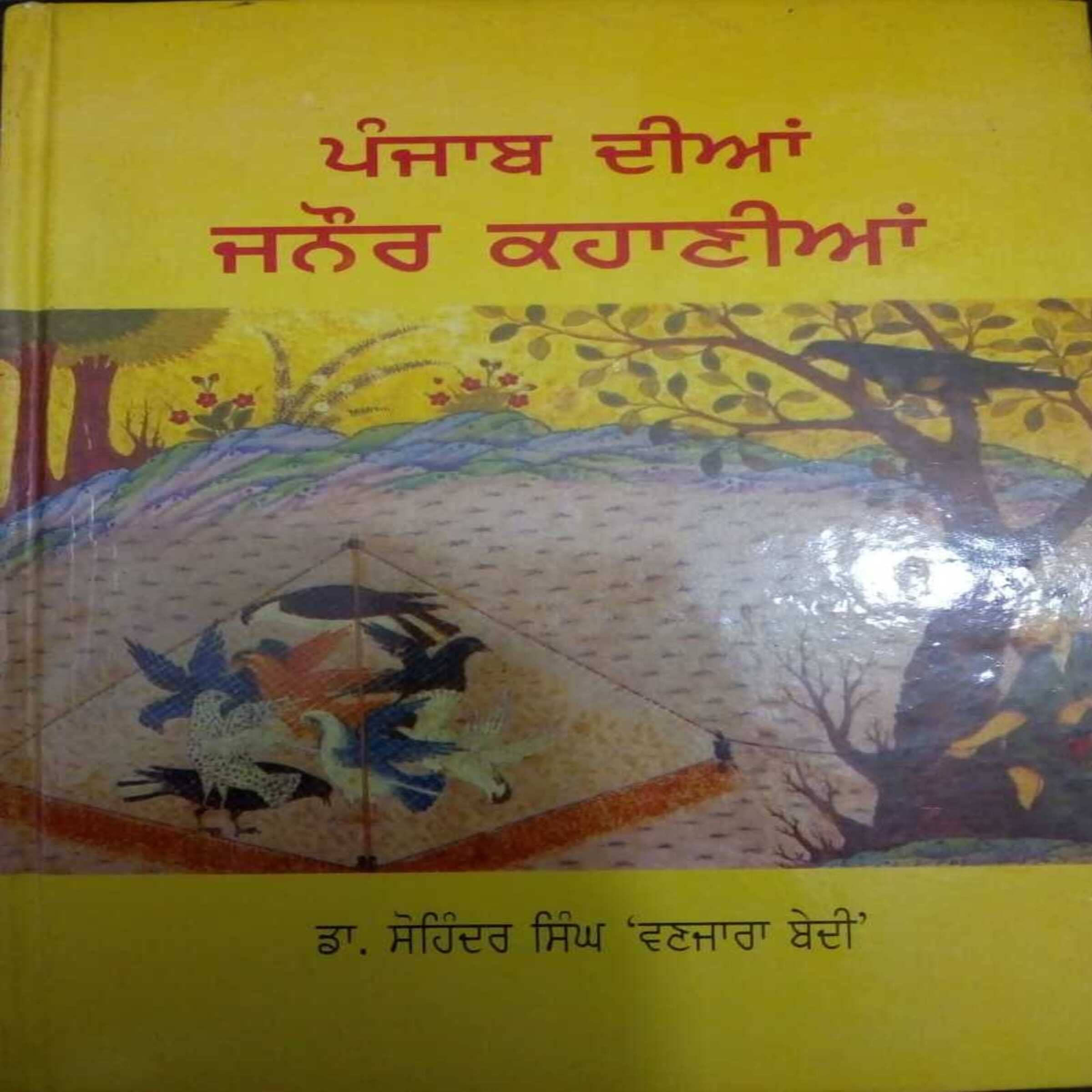 Punjab Diyan Janaur Kahania