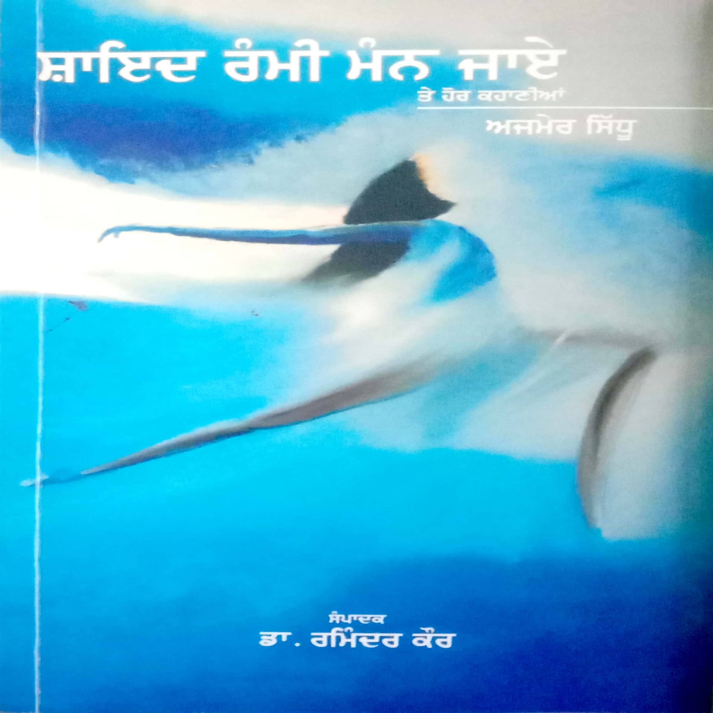 Shayad Rammi Mann Jaye Te Hor Kahania